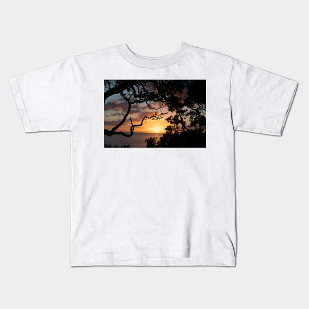 Sunrise over coast framed by silhouette foliage of pohutukawa tree on edge of slope. Kids T-Shirt by brians101